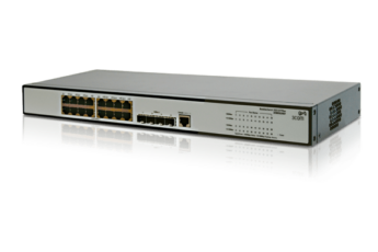 Resized Image