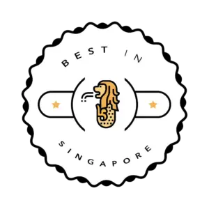 it support - best in singapore