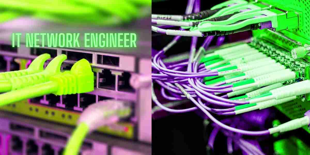it network engineer provide connectivity for wan and lan