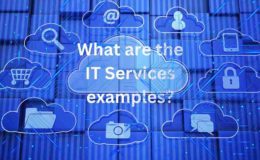 what are the it services examples